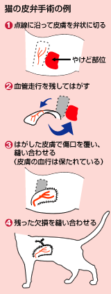 �L�̔�َ�p�̗�