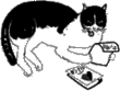 �C���X�g