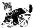 �C���X�g