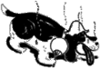 �C���X�g