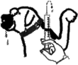 �C���X�g